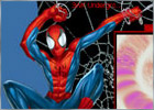 Download the Spider-Man WMP skin